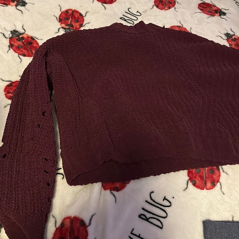 Hollister sweater